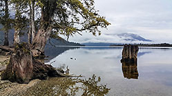 Brunner lake
