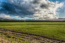 light & clouds on farmland