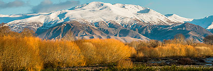 Mt Cook