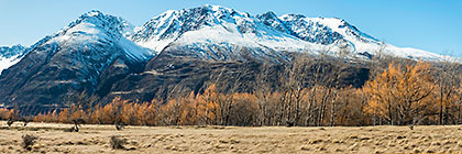 trees in Tasman valley, river & mountains