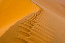 steps on sand dune ridge