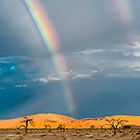 rainbow over dry camelthorn trees & sand dunes