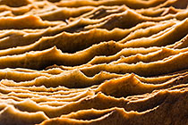 rock textures