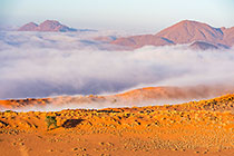 Rolling Fog
