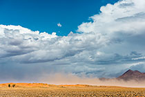Sand Storm