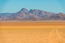 mongoose crossing track through plain & mountains