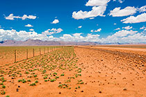 strip of green grass along fence & road