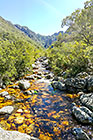river in gorge
