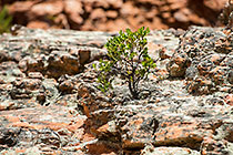 rock formation