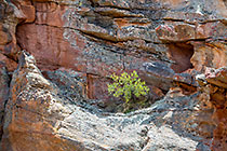 rock formation
