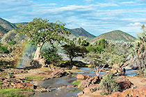 Epupa