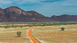 tracks through red sand in plain