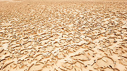 Dried Mud