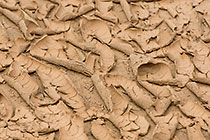 Dried Mud