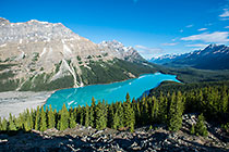 Peyto