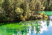 lake #2 clear blue-green water & pine tree forest