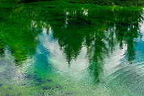 pine tree & cloud reflection lake #2 clear blue-green water