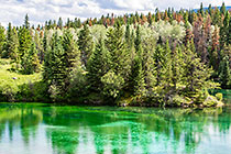 lake #2 clear blue-green water | pine & aspen tree forest