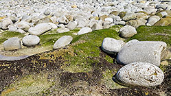 Pebbles