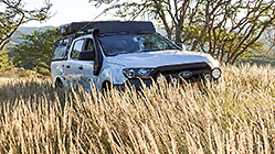 ranger in high grass