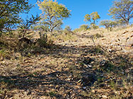 preparing access road to plot