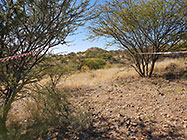 preparing access road to plot