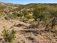 preparing access road to plot