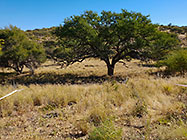 preparing access road to plot