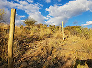 300 m fence around plot
