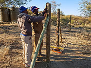 workers erecting 300 m fence around plot
