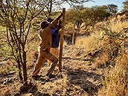 workers erecting 300 m fence around plot