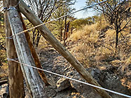 300 m fence around plot