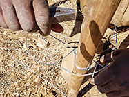 workers erecting 300 m fence around plot