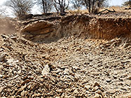 digger loader excavating foundations for workshop & studio