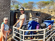 Anne, Lisa, Marlerne & workers offloading stones for gabion from ttrailer