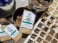 seeds for Hugel garden