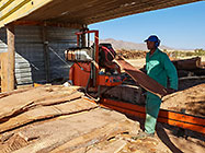 workers cutting prosopis at Manu sawmill