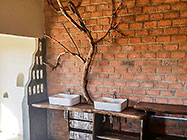 bassins over prosopis counters & tree on wall in house master bathroom