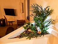 house plant boxes with led lighting