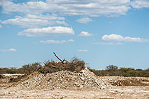pile of top soil