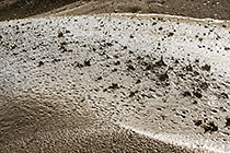 drops from cyclone sprayer on tailings