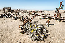 Land Reclaim