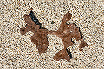 Ebay ghost town - rusted piece of metal