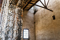 Ebay ghost town - lichens on old building