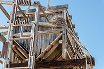 bird nest on old german processing plant