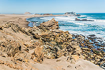 seals on beach | rocky coastline