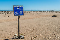 rehabilitated area after mining operations