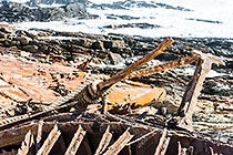 shipwreck of barge 77 on rocky shore