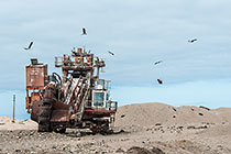 Bucket Wheel Roost