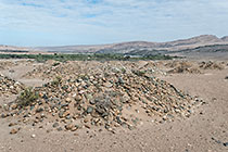 plant rehabilitation after mining operations along Orange river